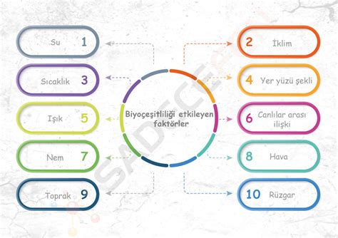 Lazer Epilasyon Etkisi Süresi Lazer Epilasyon Etkisi Süresi