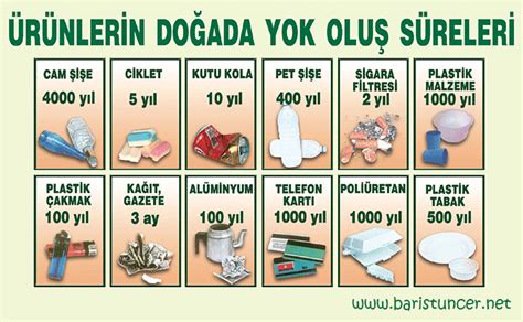 Lazer Epilasyon Uzun Süreli Sonuçlar Lazer Epilasyon Uzun Süreli Sonuçlar