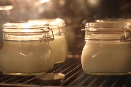 L'Arte e la Scienza dello Yogurt Fatto in Casa