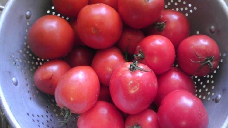 Ricetta zuppa di pomodoro: pomodori nel colino
