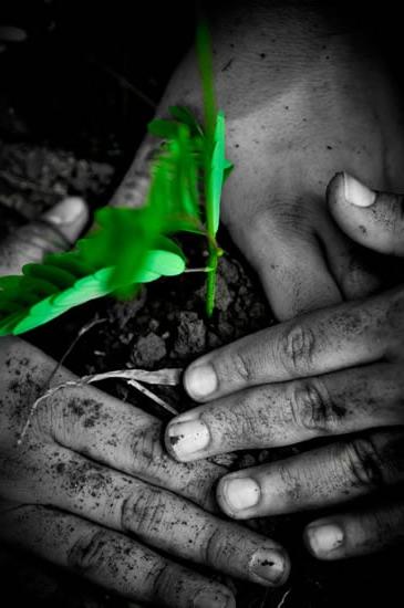 Una persona che pianta un piccolo albero in terra, simbolo di crescita, speranza e nuovo inizio per una vita migliore.