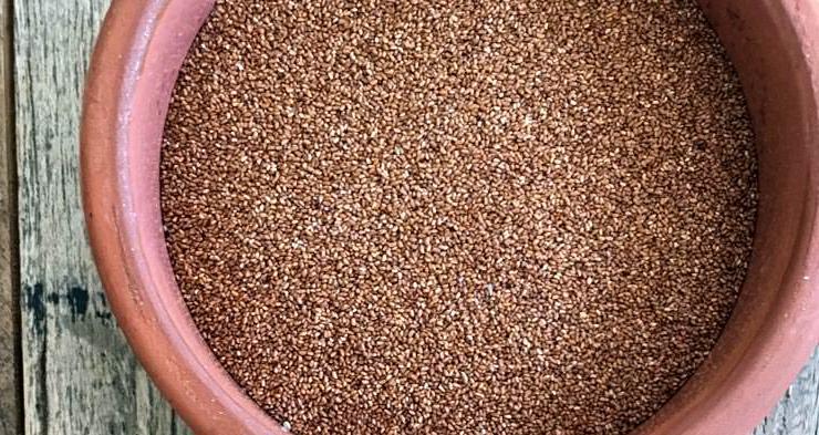 Teff crudo