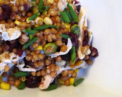 L'Archivio dell'Ottobre Non Processato: Giorno 19 3 Chicken Cranberry Wheat Berry Salad (in a Small Kitchen)