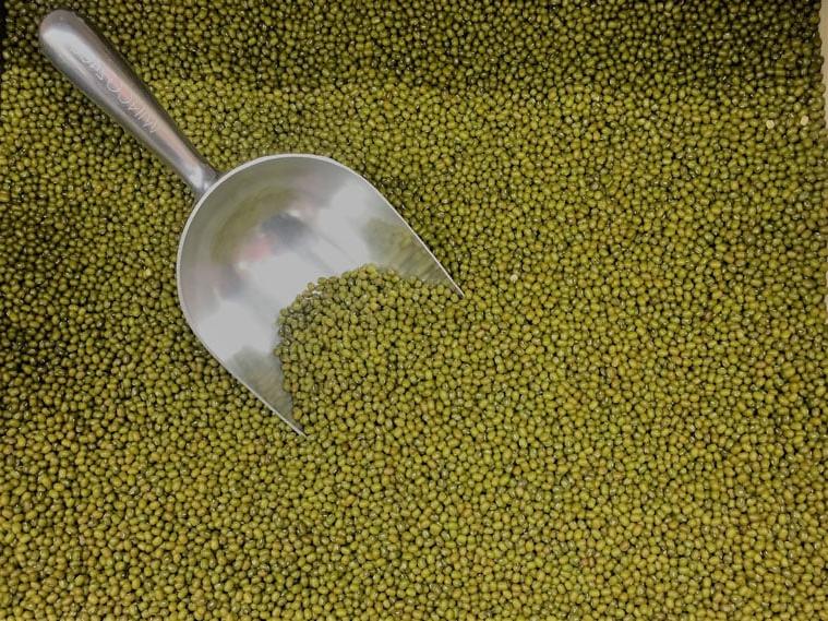 fagioli mung