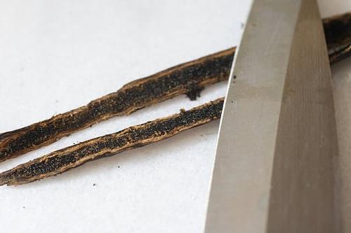 Baccello di Vaniglia Inciso