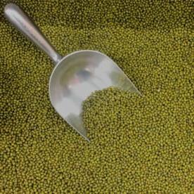 La Scienza delle Pentole a Pressione 5 fagioli mung