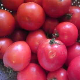 Coinvolgi i tuoi figli in cucina (con zuppa di pomodoro fatta in casa) 3 Zuppa di pomodoro fatta in casa