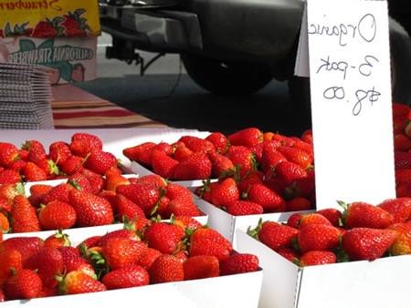 Fragole Biologiche