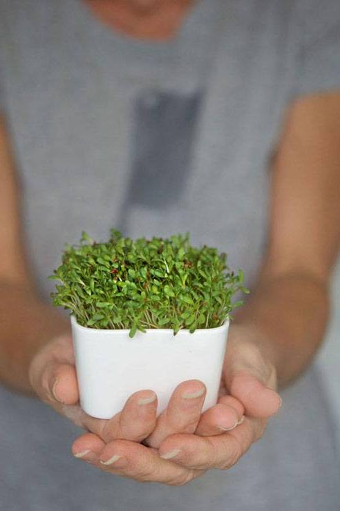 microgreens