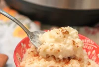 Creamy Instant Pot Rice Pudding