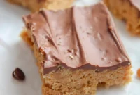 No-Bake Peanut Butter Chocolate Squares