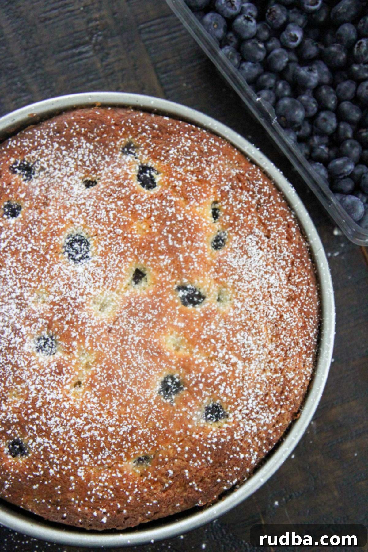 Delicious lemon blueberry cream cheese coffee cake with fresh blueberries on the side, ready to be served.