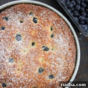 Zesty Lemon Blueberry Cream Cheese Coffee Cake 5 lemon blueberry cream cheese coffee cake with fresh blueberries on the side
