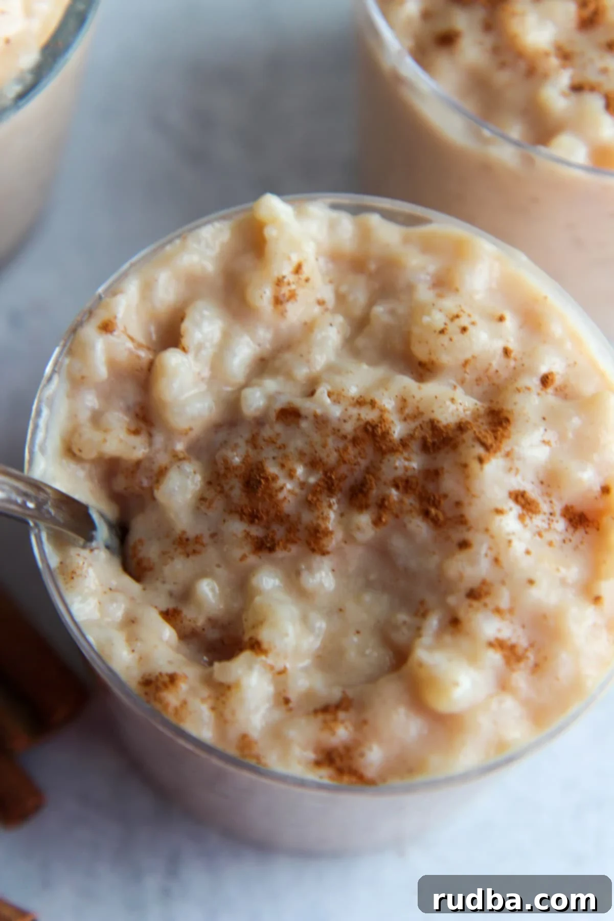 up close shot of classic rice pudding with ground cinnamon on top. 