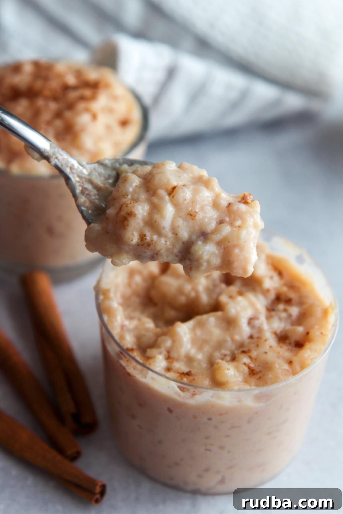 a spoonful of creamy rice pudding. 