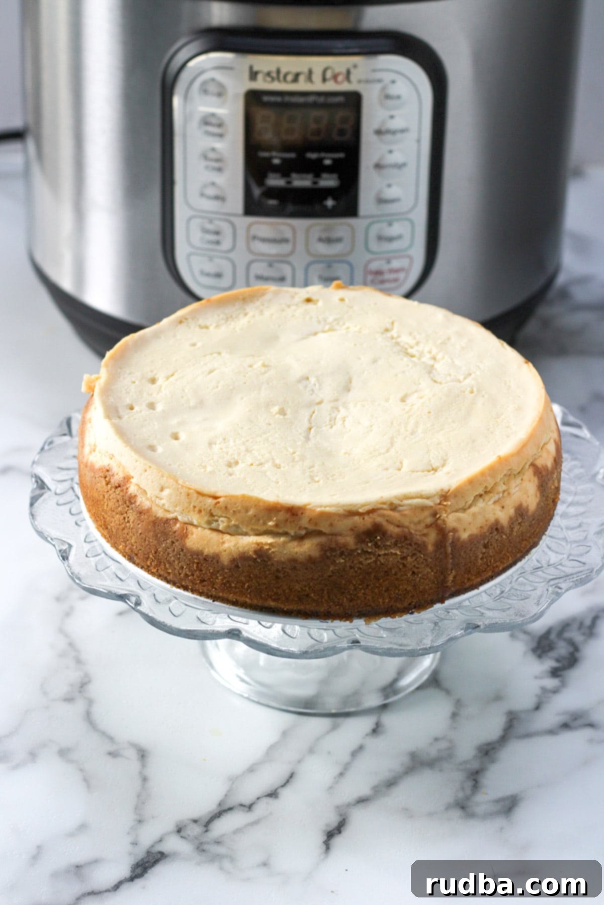 A beautifully plain, freshly baked cheesecake resting on a glass cake stand, with a sleek pressure cooker subtly blurred in the background, showcasing the versatility of Instant Pot baking.