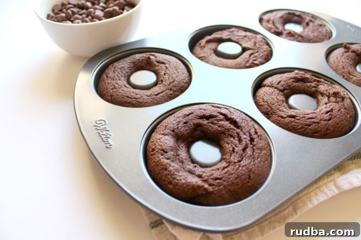 donut pan with six baked donuts 