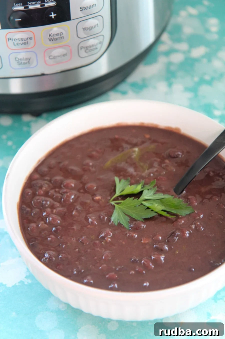 a white bowl with black beans, cilantro on top, and a spoon. An instant pot in the background. 