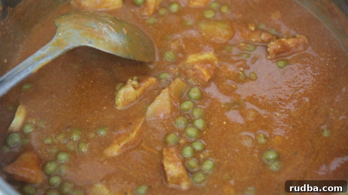 A pot of fragrant coconut chicken curry simmering on the stove, stirred with a stainless steel spoon, promising a delicious meal.
