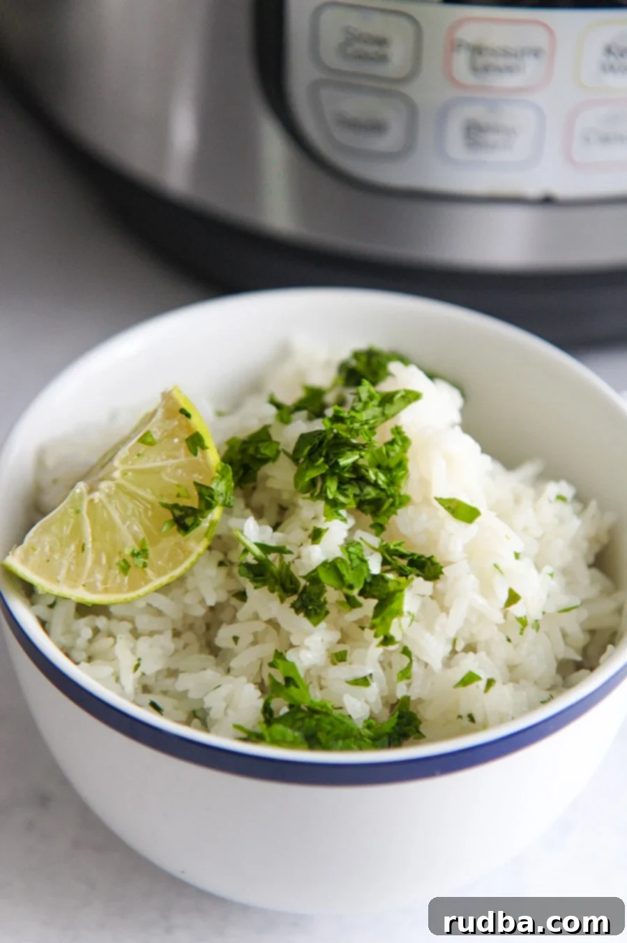 a blue and white bowl filled with fluffy rice, a lime wedge, and cilantro.