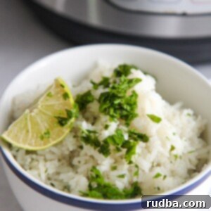 a blue and white bowl filled with fluffy rice, a lime wedge, and cilantro.