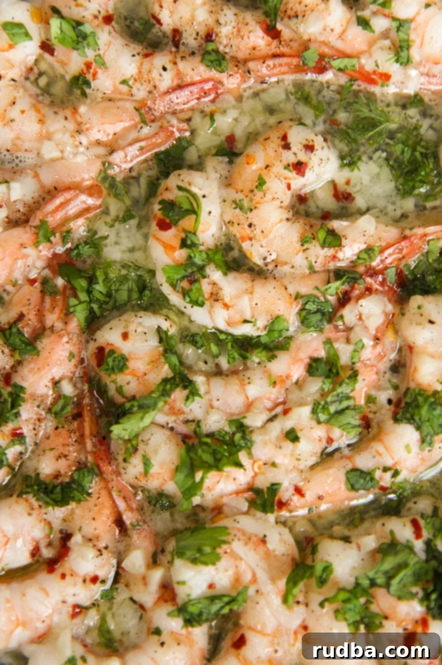 baked shrimp scampi up close.