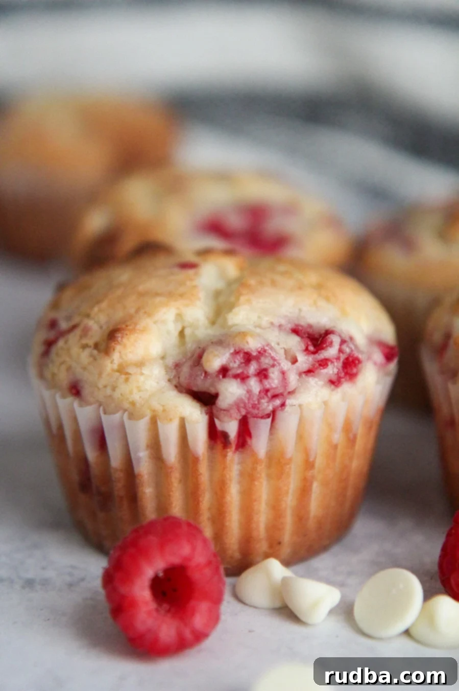 A close-up of a perfectly baked white chocolate raspberry muffin with a whole raspberry and white chocolate chips visible on the side.