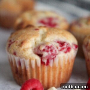 Luscious White Chocolate Raspberry Muffins 5 a muffin up close with ra raspberry and white chocolate chips on the side.