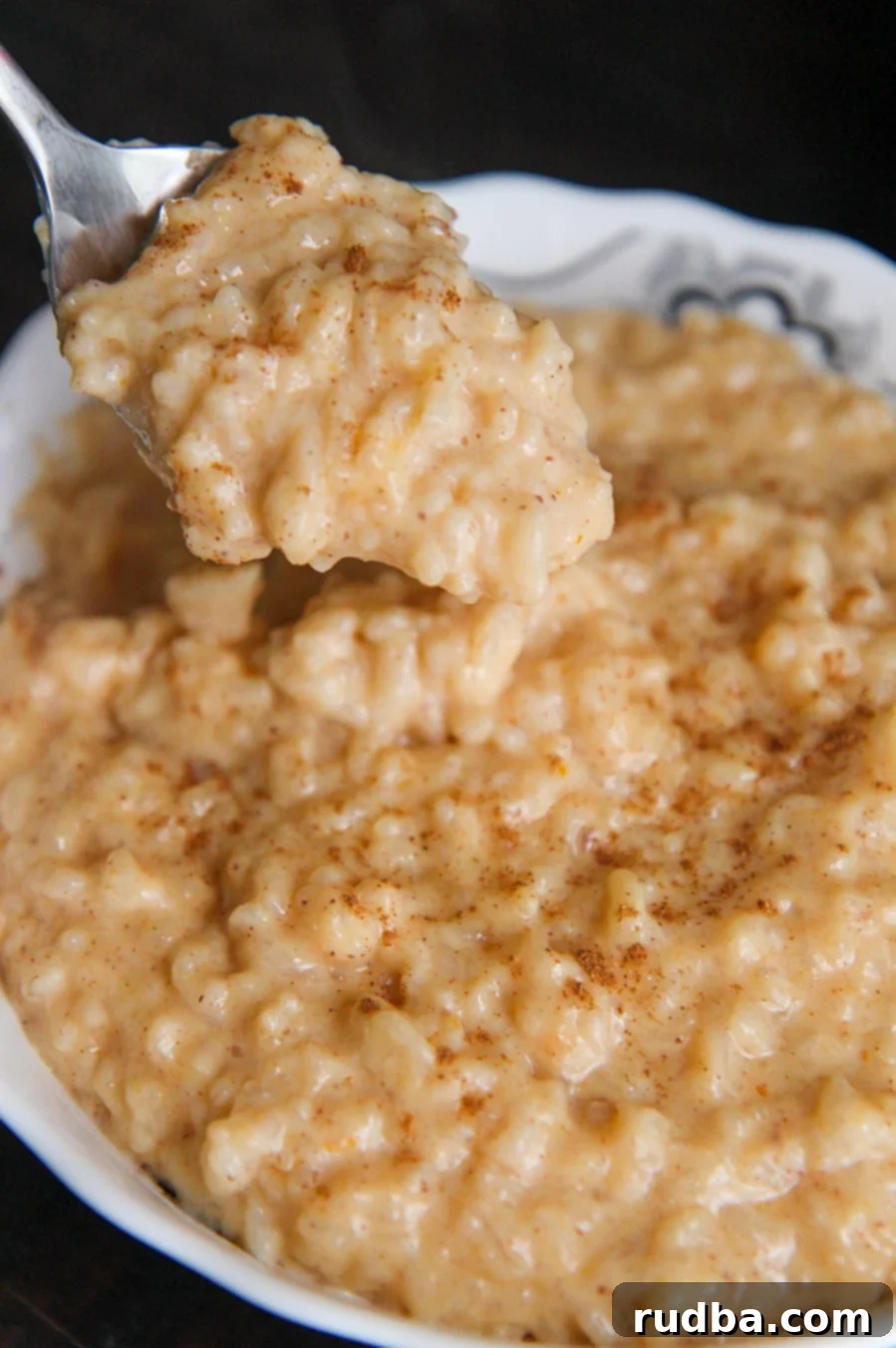 Close-up of creamy pumpkin rice pudding in a bowl, garnished with a sprinkle of spice.
