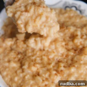 Creamy Instant Pot Pumpkin Rice Pudding 4 Close-up of creamy pumpkin rice pudding in a bowl.