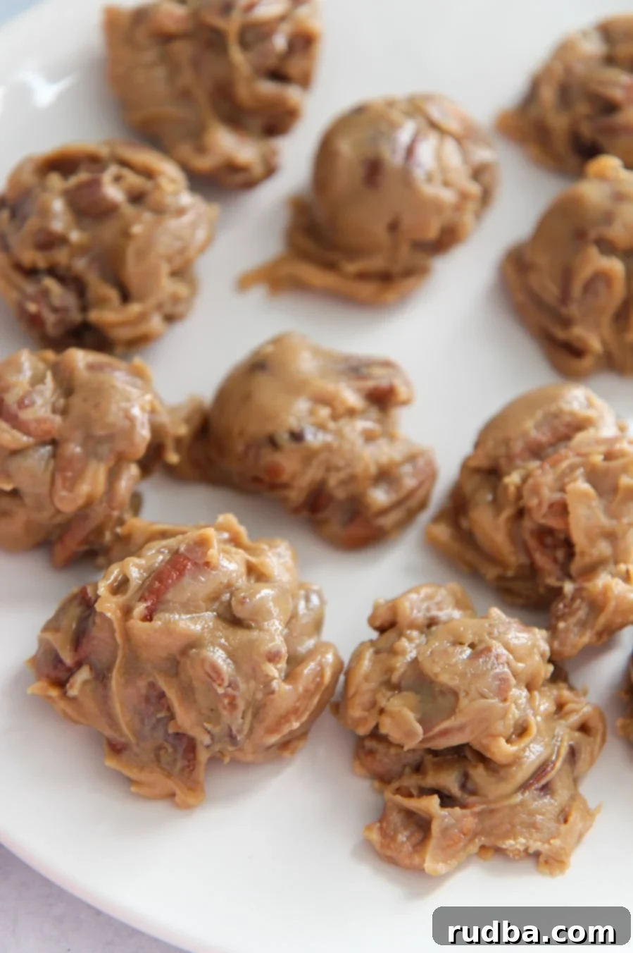 Delicious New Orleans Pecan Pralines beautifully arranged on a white plate, showcasing their creamy texture and whole pecans.