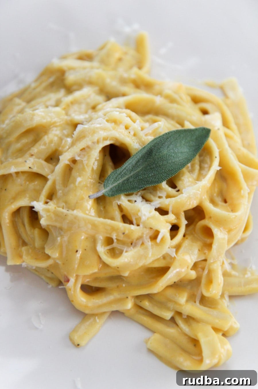 pumpkin fettuccine alfredo on a white plate with fresh sage on top. 