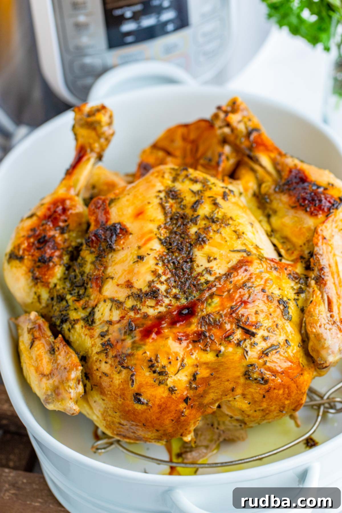 chicken in a white casserole. Served with a side of gravy.