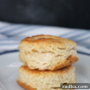 two buttermilk biscuits stacked on top of each other on a white and blue plate.