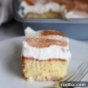 Festive Coquito Cake 4 a slice of coquito cake up close with a fork on the side.
