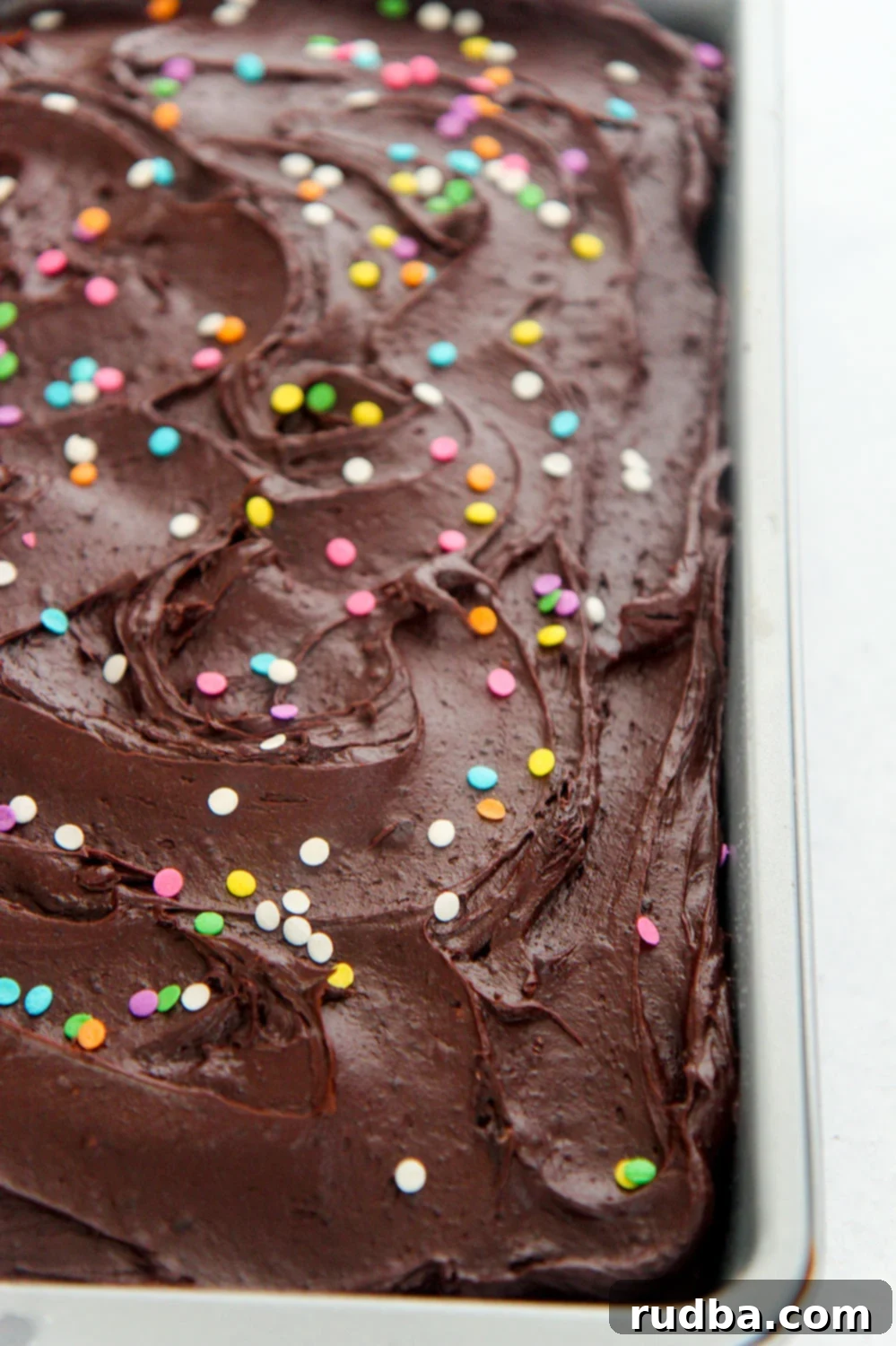 A beautifully frosted 9x13 buttermilk chocolate cake adorned with chocolate frosting and colorful sprinkles, ready to be served.