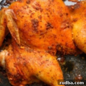 Fiesta Spatchcock Chicken 4 cooked whole chicken up close.