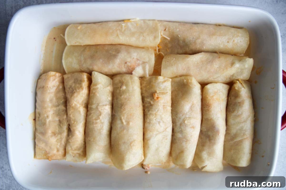 twelve rolled corn tortillas in a white casserole dish.
