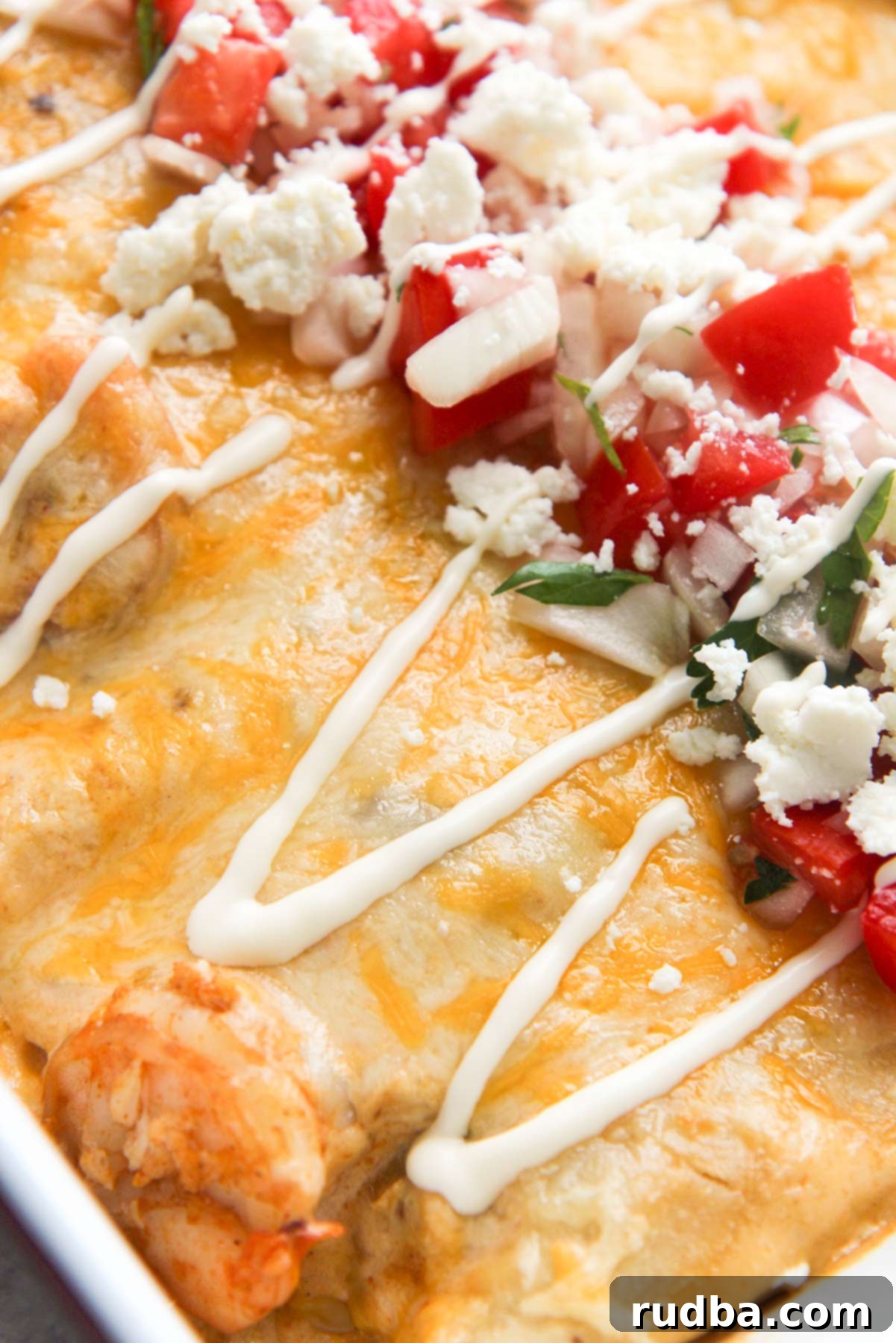 seafood enchiladas up close. 