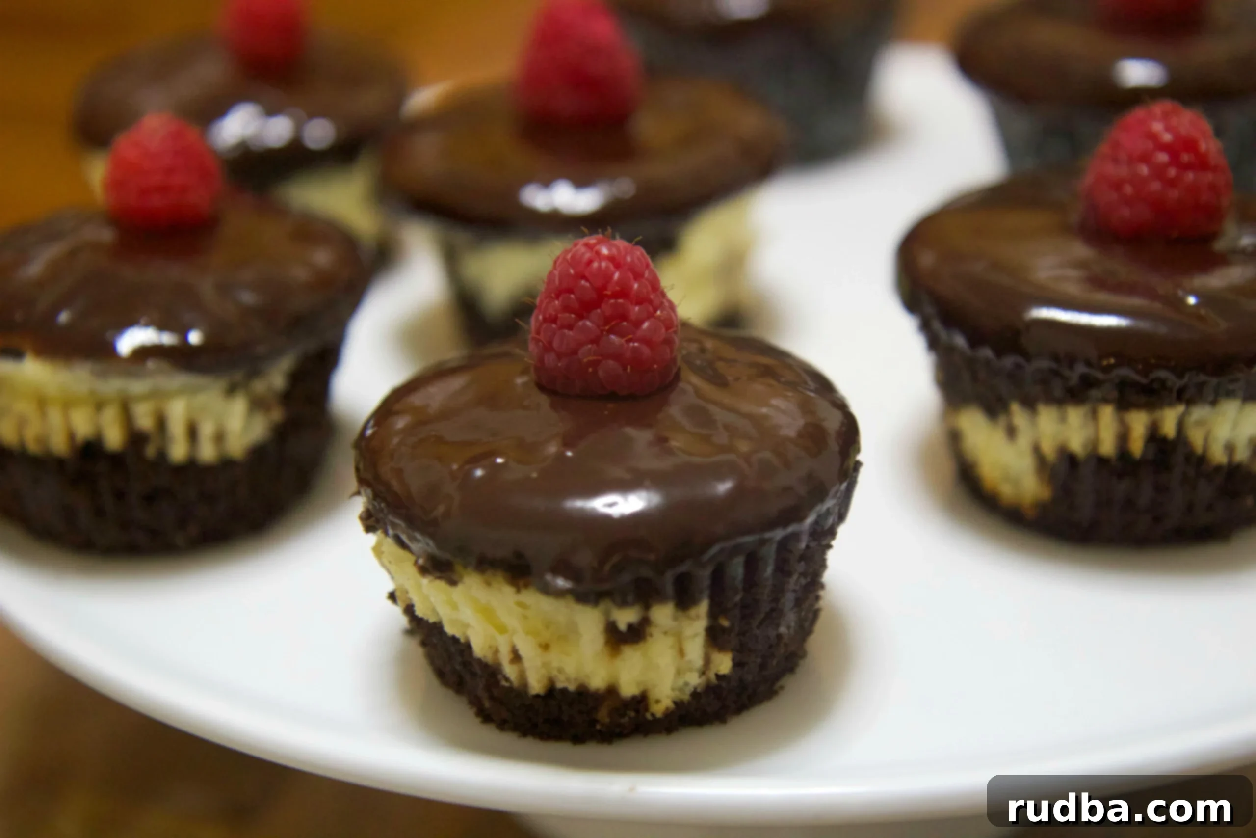 Chocolate cheesecake cupcakes topped with a milk chocolate ganache and fresh raspberries, showcasing their delicious layers.