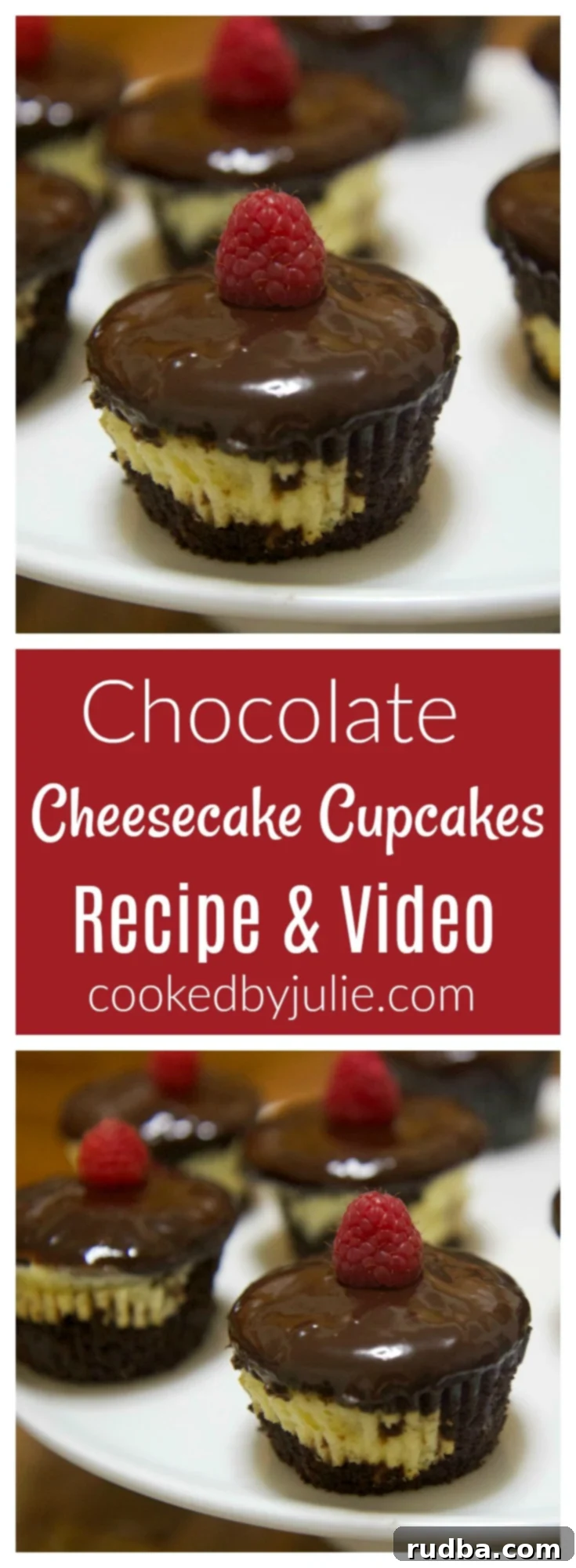 Homemade Chocolate Cheesecake Cupcakes featuring a detailed cross-section of the cake, filling, and ganache.