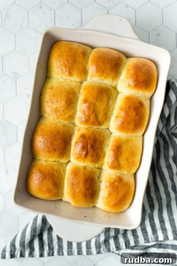 A dozen golden-brown, soft baked dinner rolls neatly arranged in a white baking sheet, resting on a blue and white patterned kitchen towel.