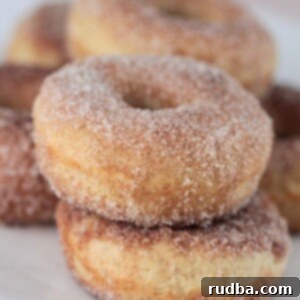 Oven-Kissed Cinnamon Sugar Doughnuts 2 baked cinnamon sugar donuts on a plate up close.