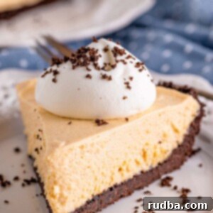 a slice of no-bake peanut butter pie with whipped cream on top.