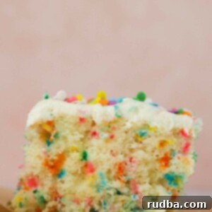 Festive Funfetti Cake 2 a slice of funfetti cake up close.