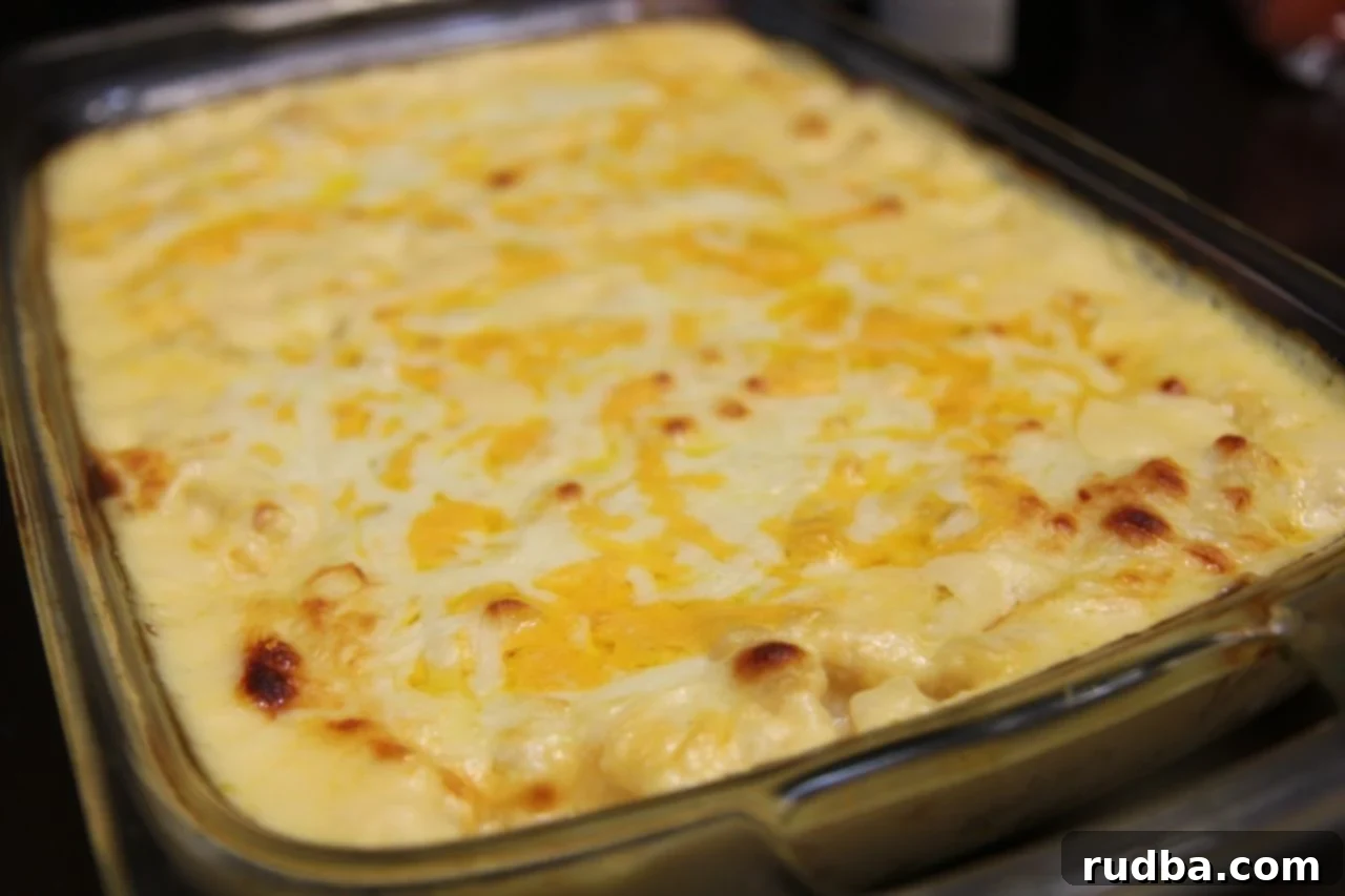 Golden, summery, and savory mac and cheese, perfectly baked and bubbling