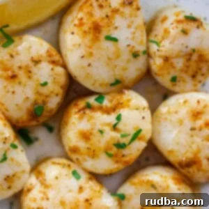 Golden Baked Scallops 2 Baked Scallops Recipe Image