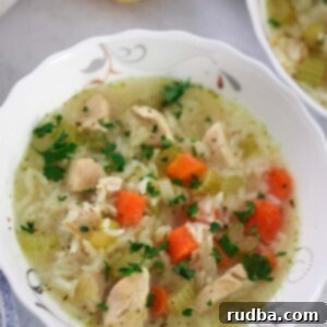 a small bowl of chicken and rice soup up close.