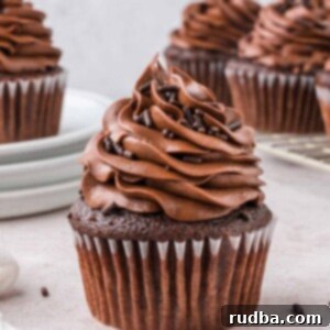 Delicious chocolate cupcakes with chocolate buttercream frosting, garnished with colorful sprinkles and a cherry on top.