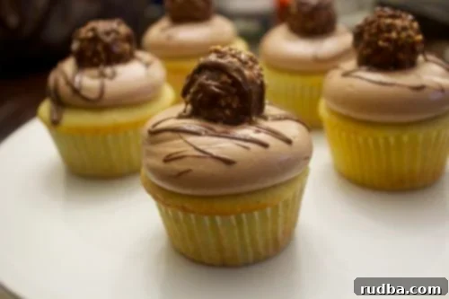 Nutella cupcakes with chocolate candies on top